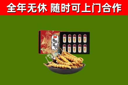 红河州回收冬虫夏草价格